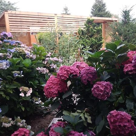 Ferienwohnung Nahe Der Ostsee Steinhagen  Ngoại thất bức ảnh