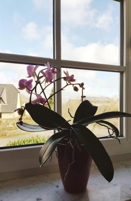 Ferienwohnung Nahe Der Ostsee Steinhagen  Ngoại thất bức ảnh